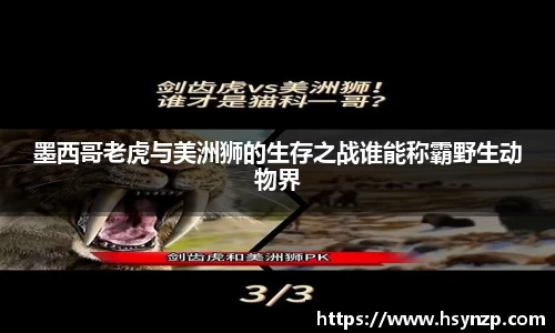 j9国际集团