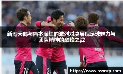 新泻天鹅与熊本深红的激烈对决展现足球魅力与团队精神的巅峰之战