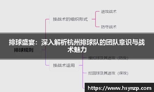 排球盛宴：深入解析杭州排球队的团队意识与战术魅力